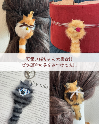 出店イメージ3