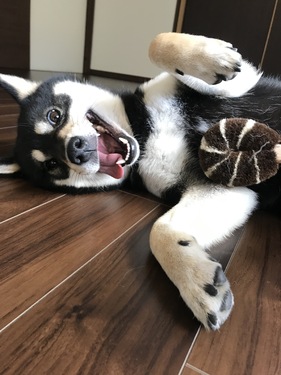 出店イメージ4
