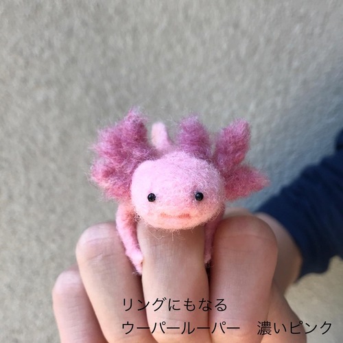 出店イメージ1