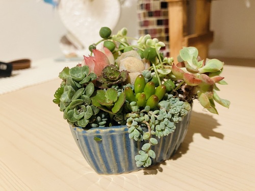 出店イメージ5