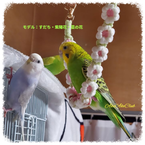 出店イメージ1