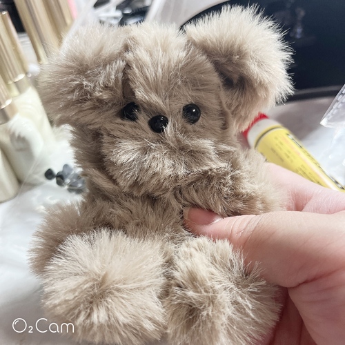 出店イメージ2
