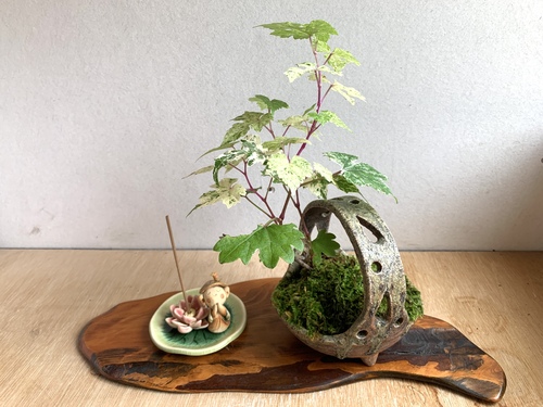 出店イメージ1