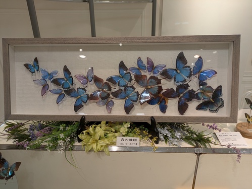 出店イメージ5