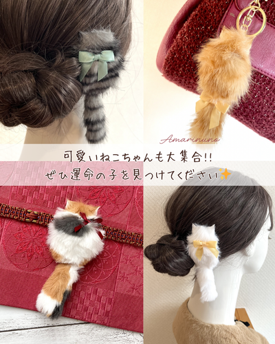 出店イメージ1