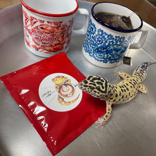 出店イメージ2
