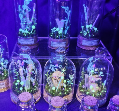 出店イメージ3