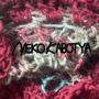 NEKO KABOTYA