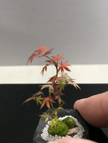 出店イメージ4