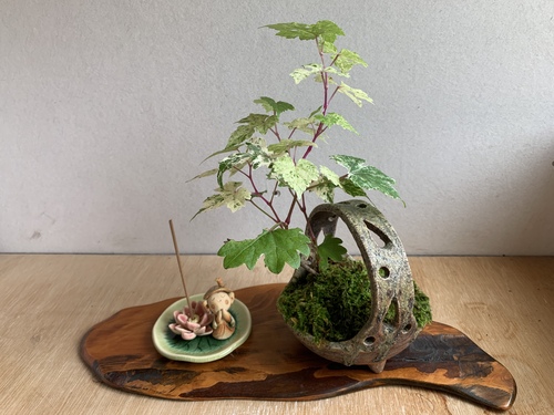 出店イメージ1